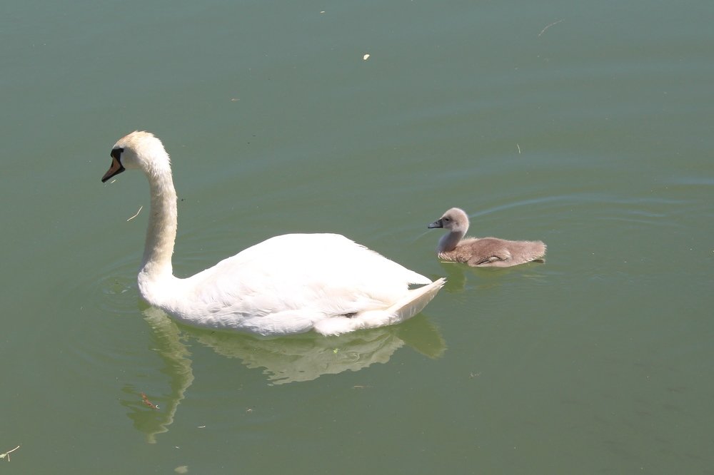 Photograph by Виталий