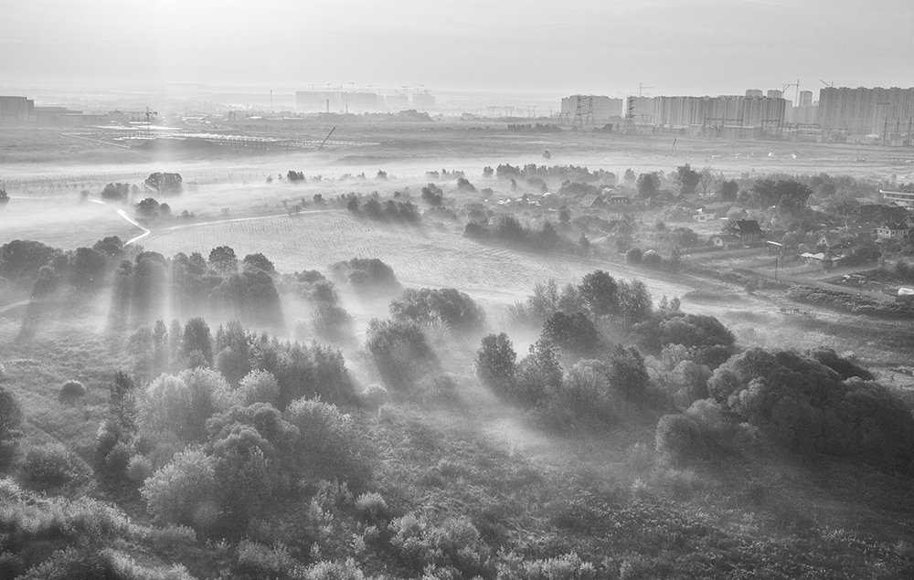 Утро в пригороде