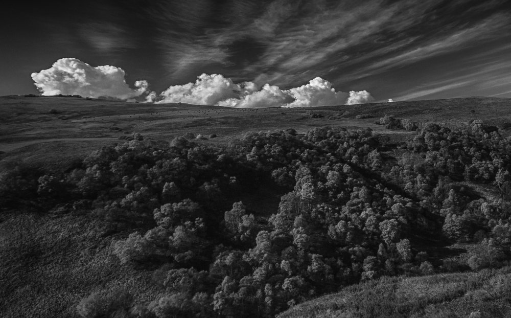 Облака плывут.