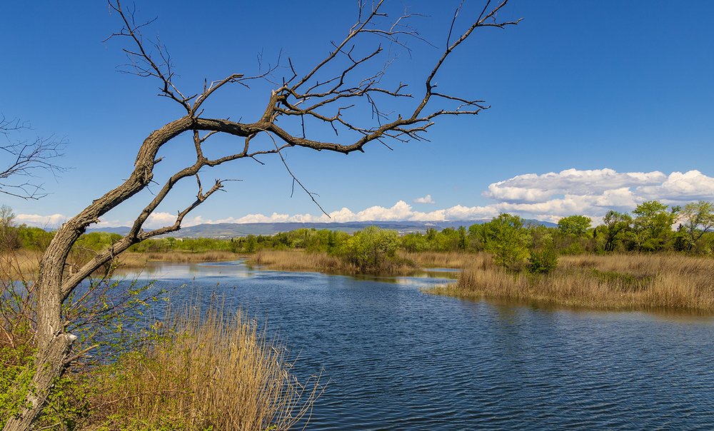 Photograph by Alex Kalpus