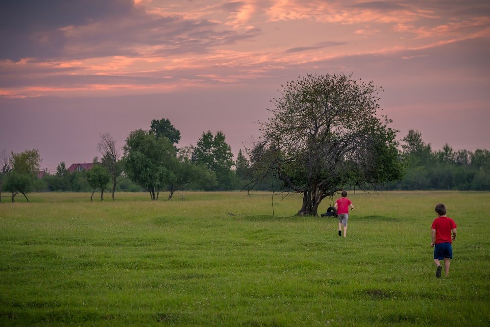Летние истории
