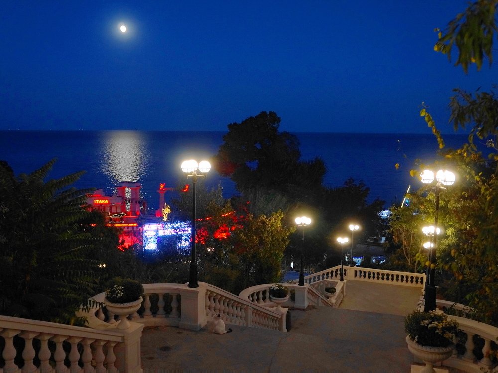 Аркадия, Одесса, Полнолуние...