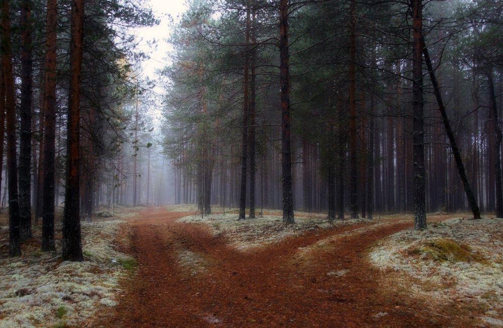 Туманная история...