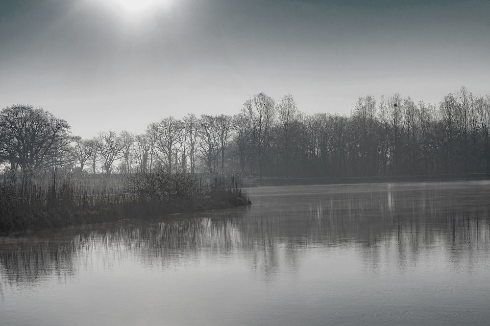 Photograph by Демьян Лопатов