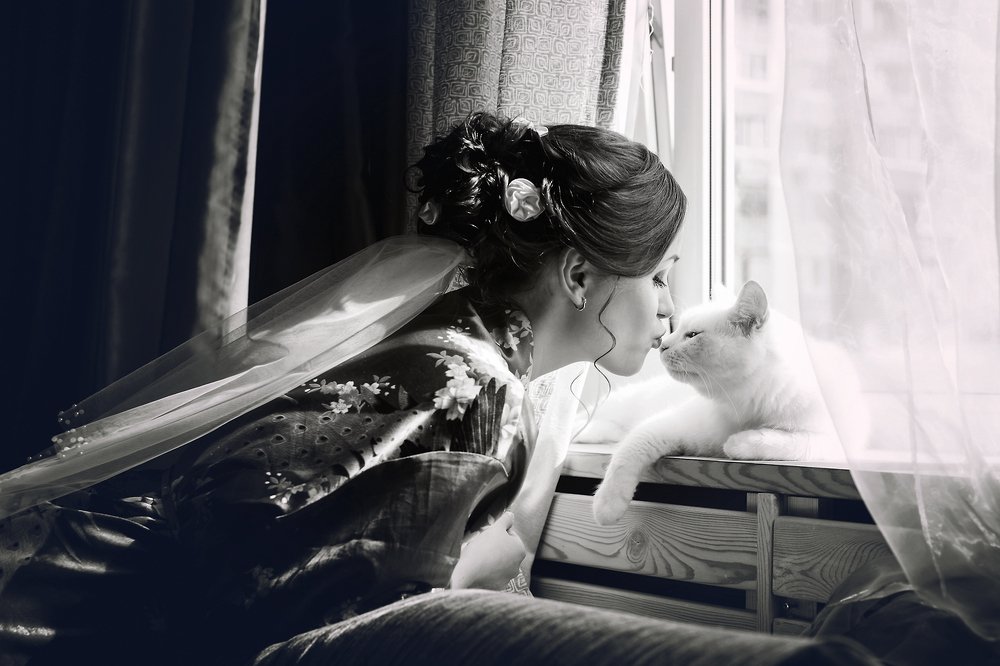 Прощальный поцелуй