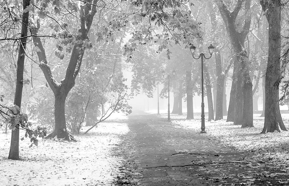 Первый снег