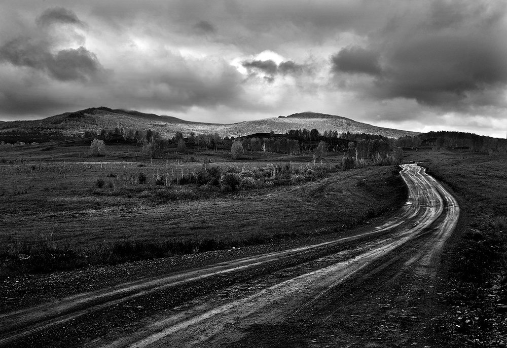 Черно-белая осень