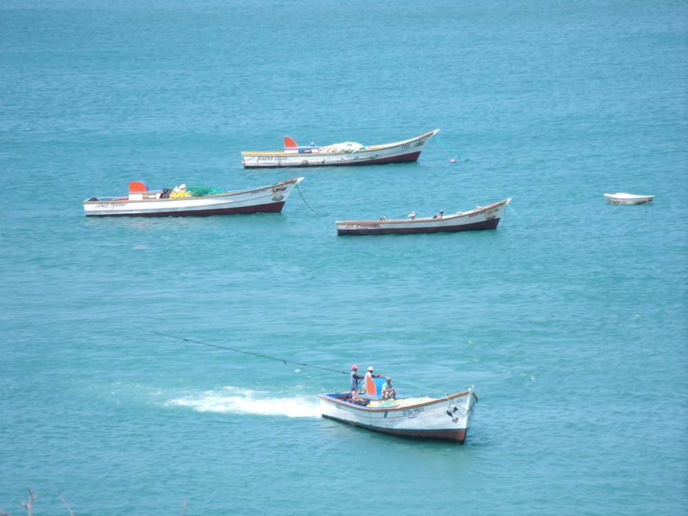 Manzanillo