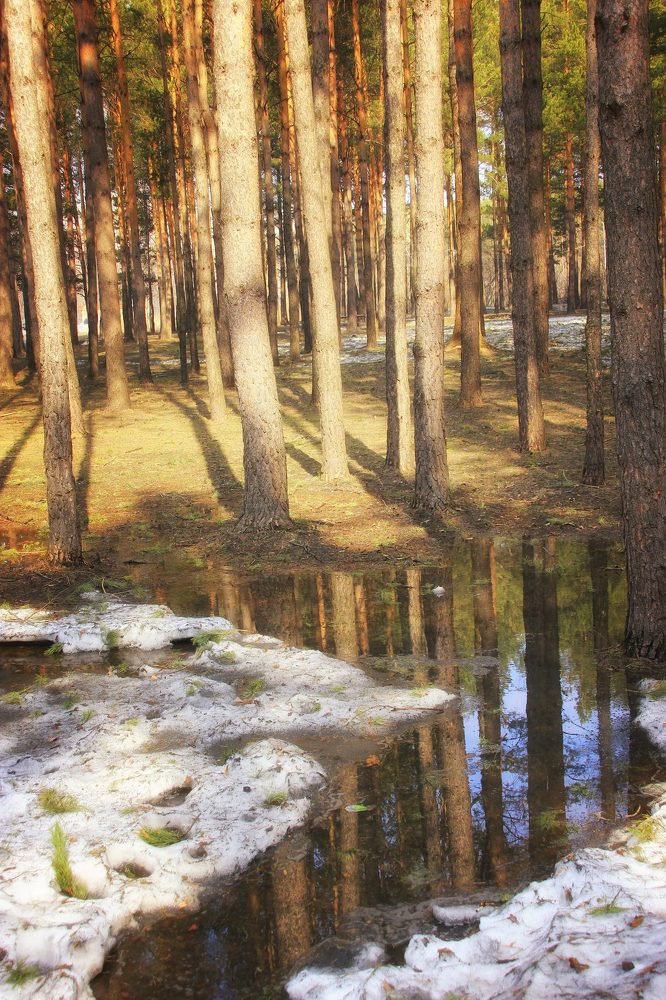 Дыхание весны