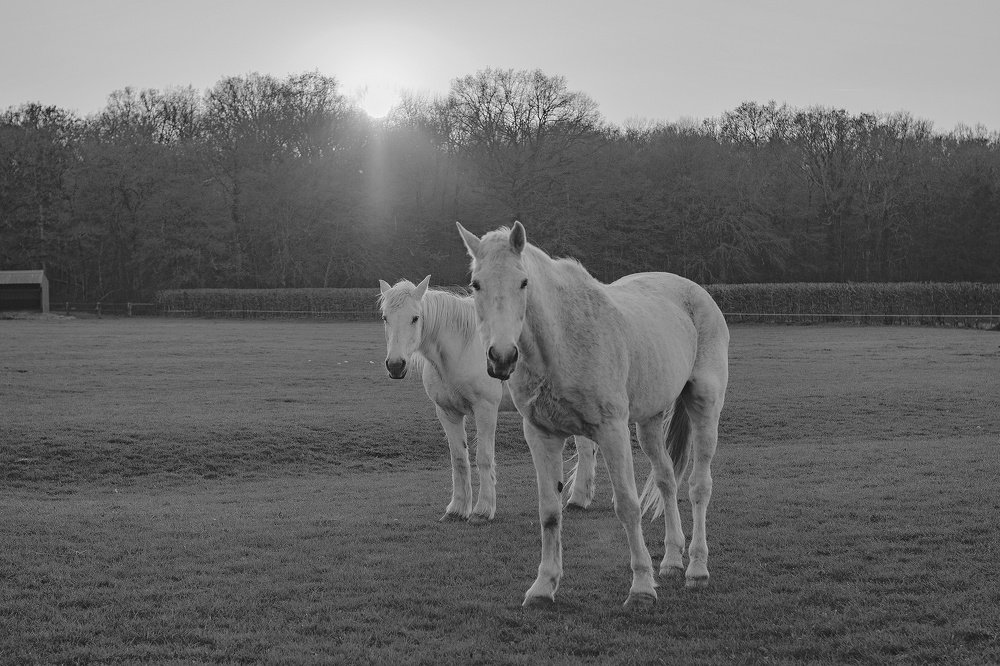 Photograph by Демьян Лопатов