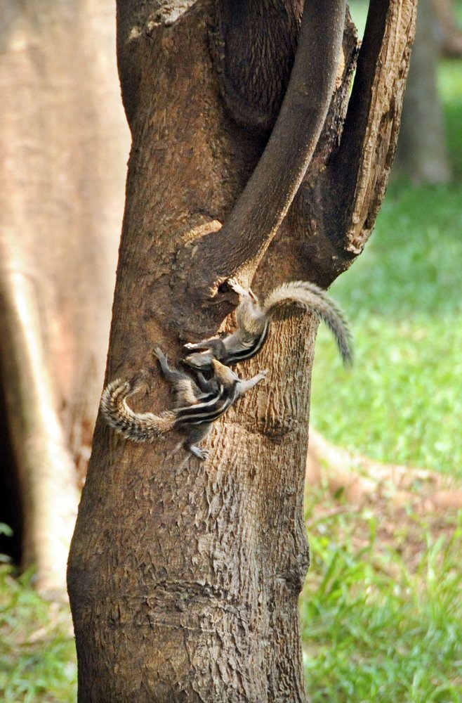 Photograph by rafiq ullah