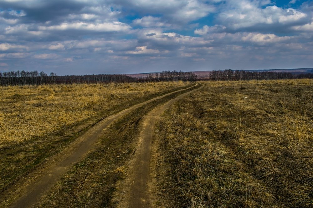 Полевая дорога