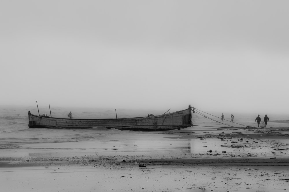 Фотография автора payman Mollaie