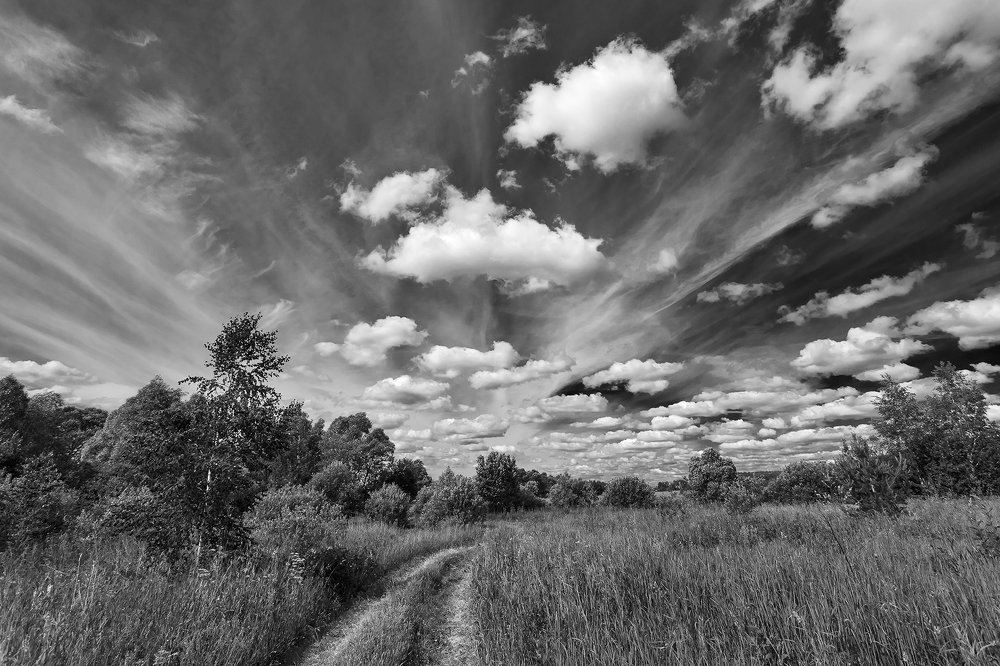 Под облаками