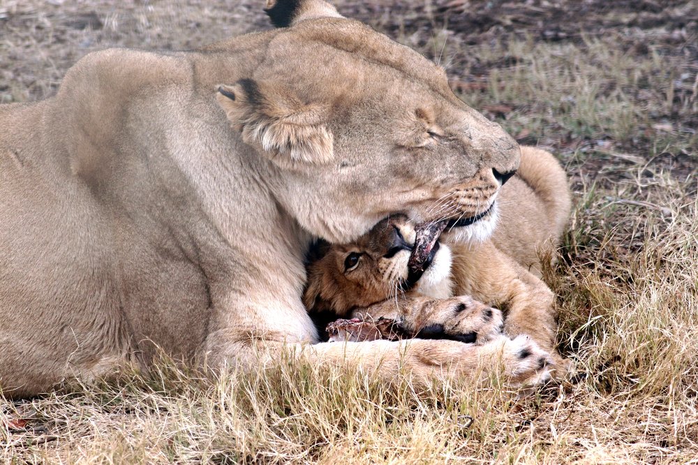 Mommy & Me