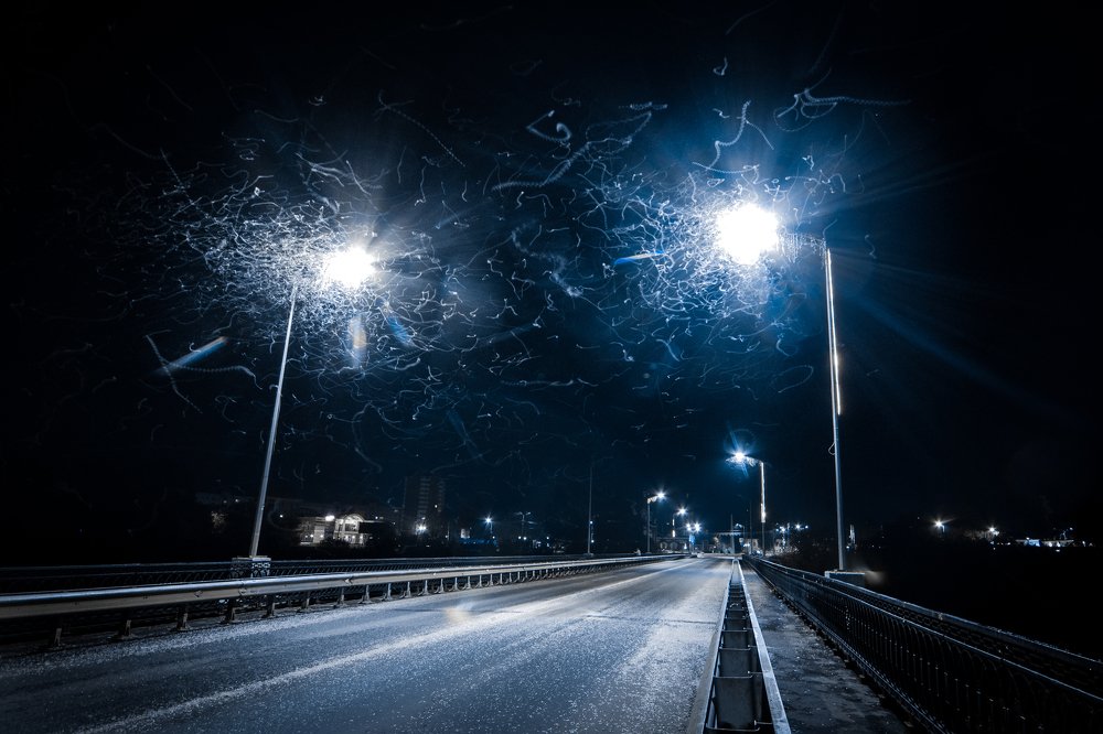 Ночные подёнки