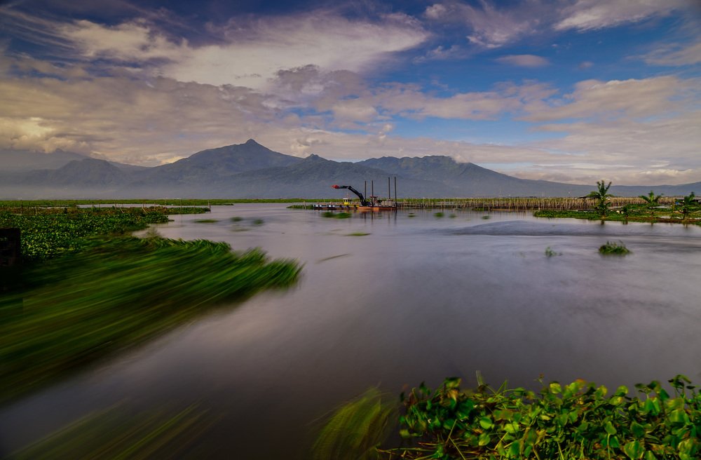 Cleaning up the lake