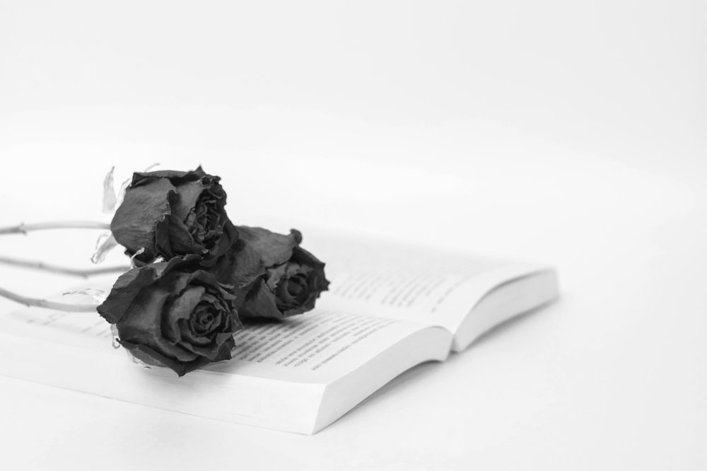 Photograph by Олег