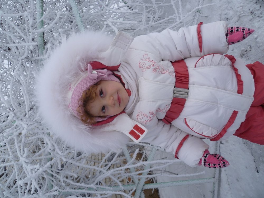 Photo #3162279