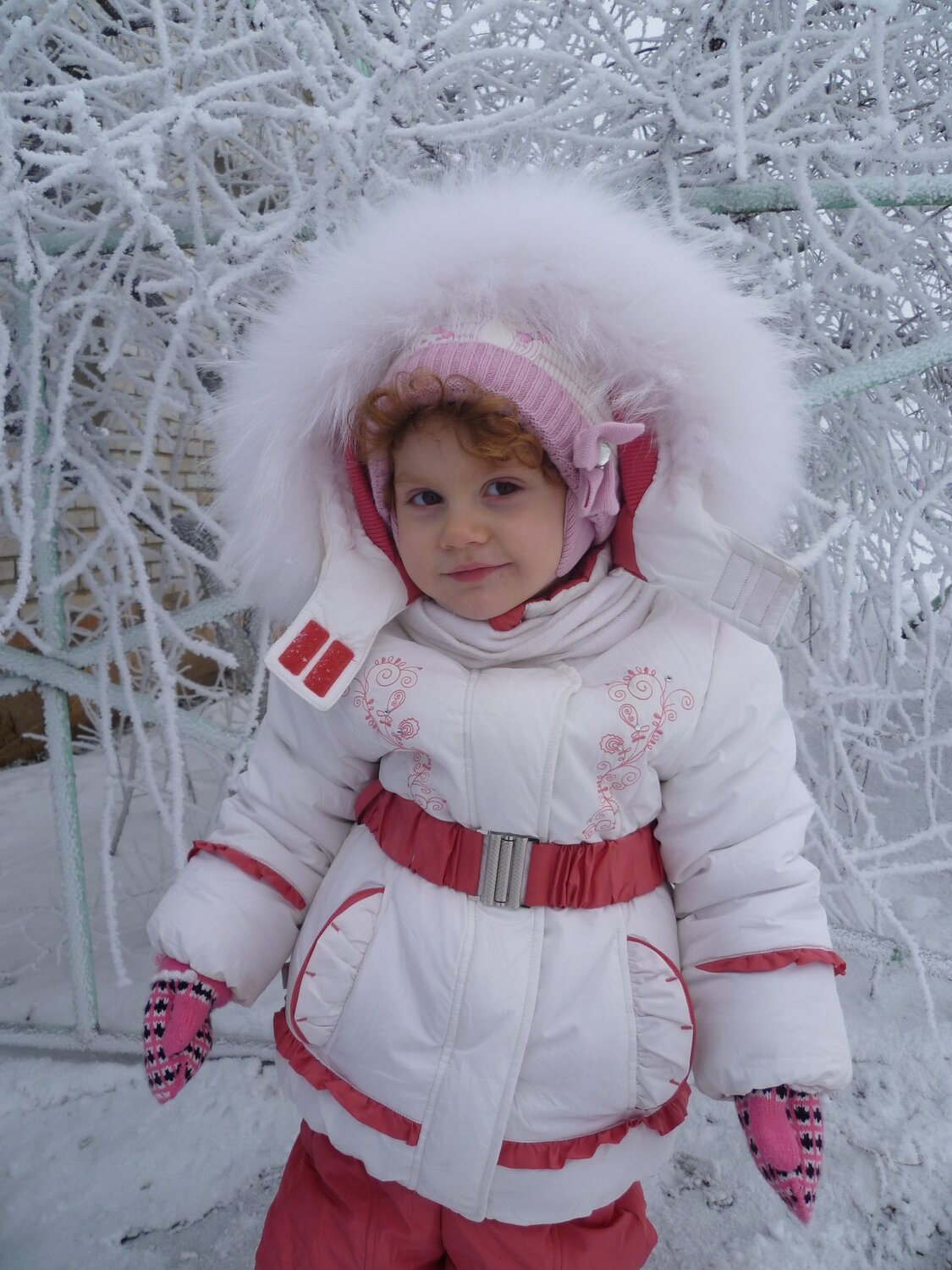 Photo #3162279