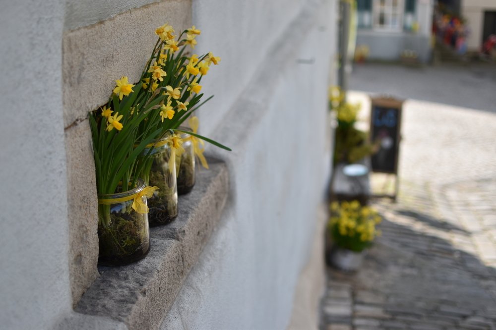 Photograph by Людмила Комарова