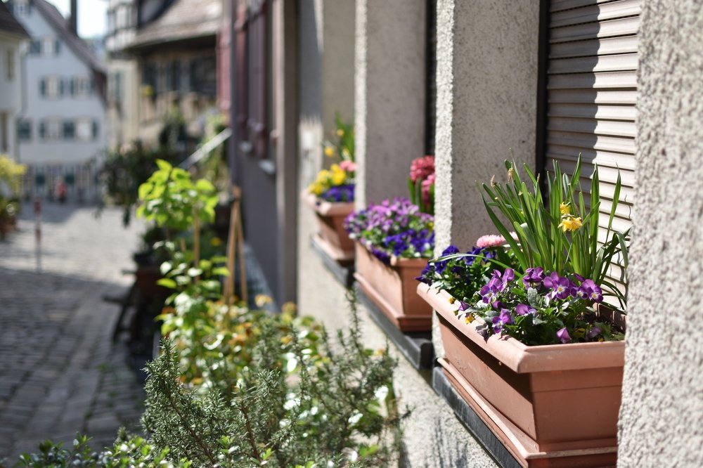 Photograph by Людмила Комарова