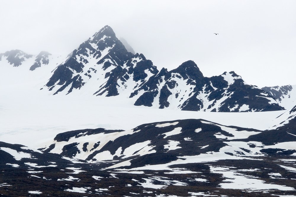 Как давно снятся нам только белые сны...