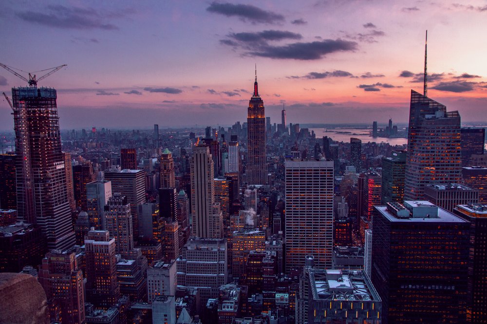 Каменные джунгли