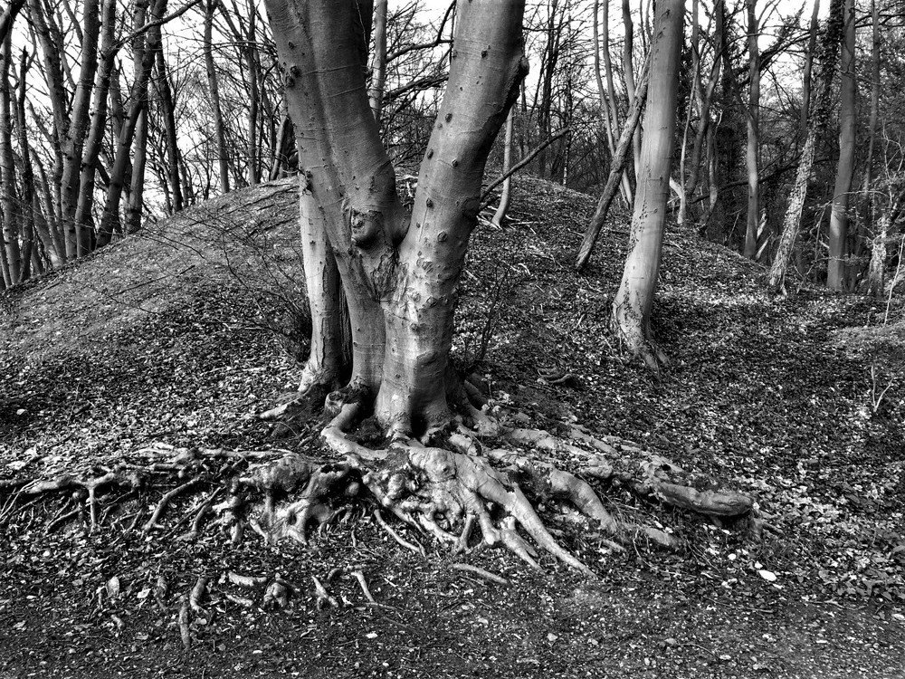 В парке. Im Park.