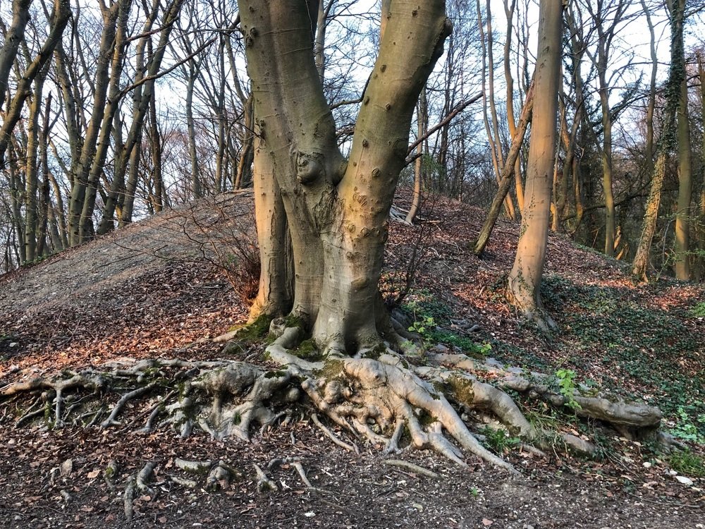 В парке. Im Park.