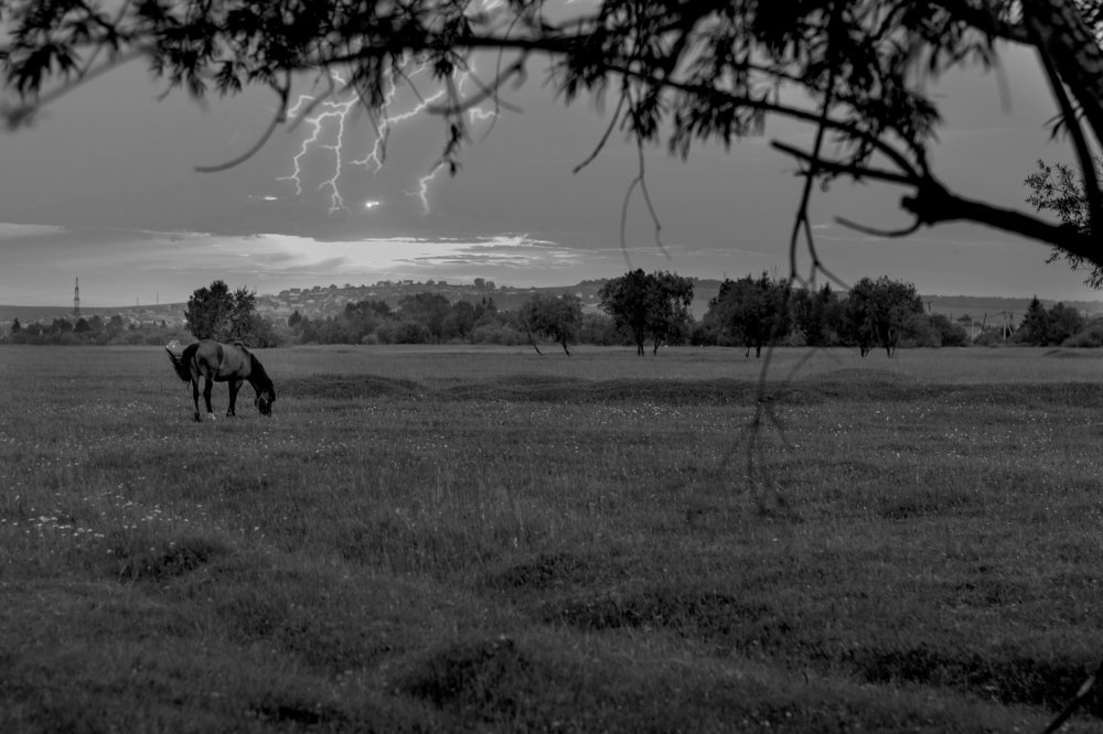 летние истории