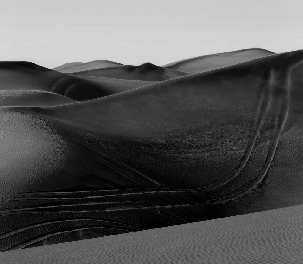 Анатомия пустыни