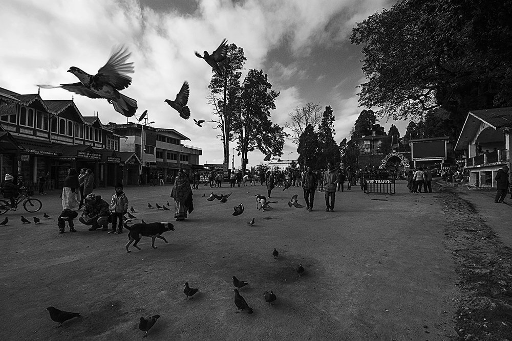 The flight