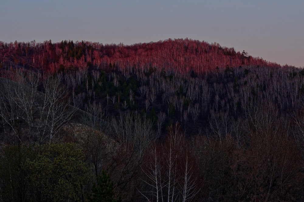 Шаманская гора