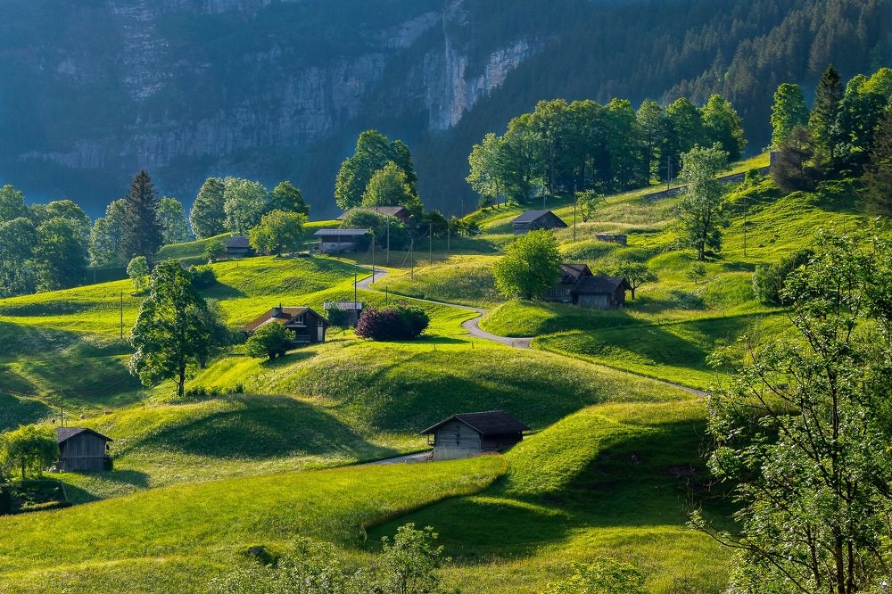Фотография автора Андрей Симонов