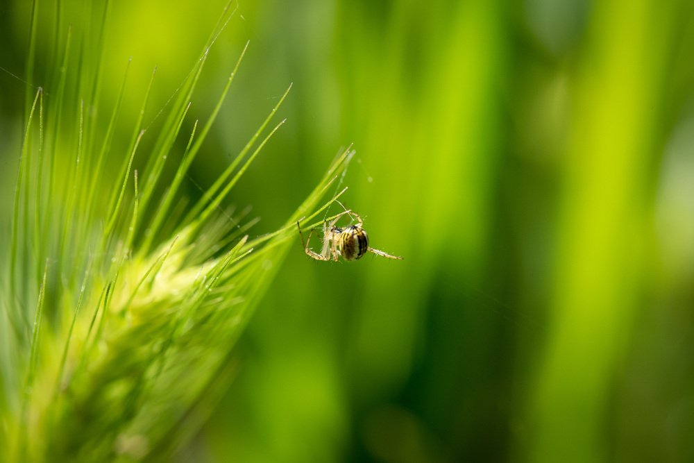 Photograph by Николай Пузанкевич