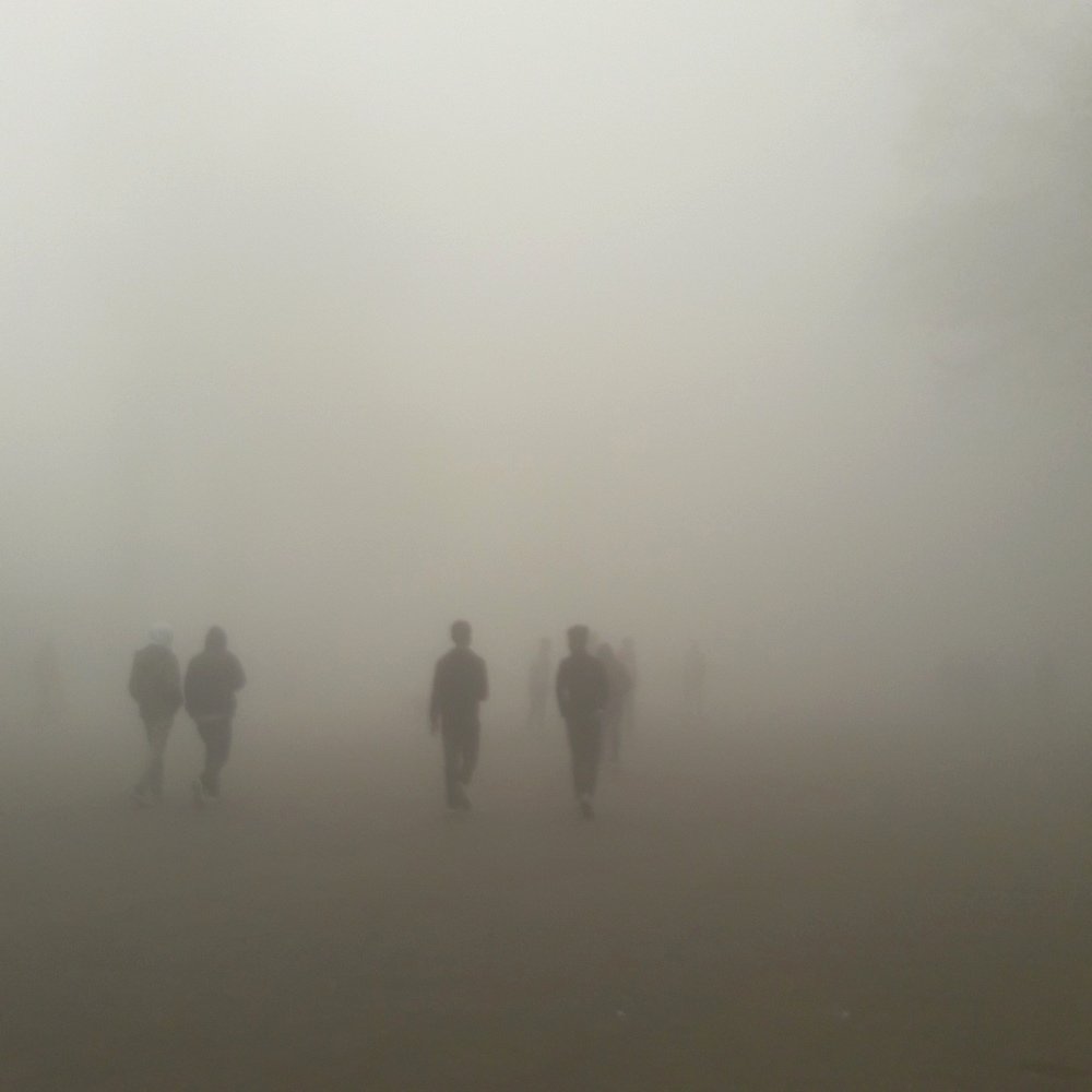 A misty day