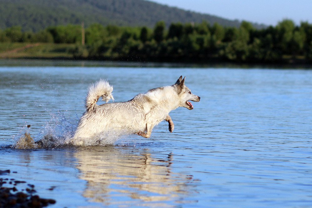Все купаться!