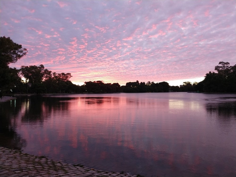 Atardecer Jacarandoso