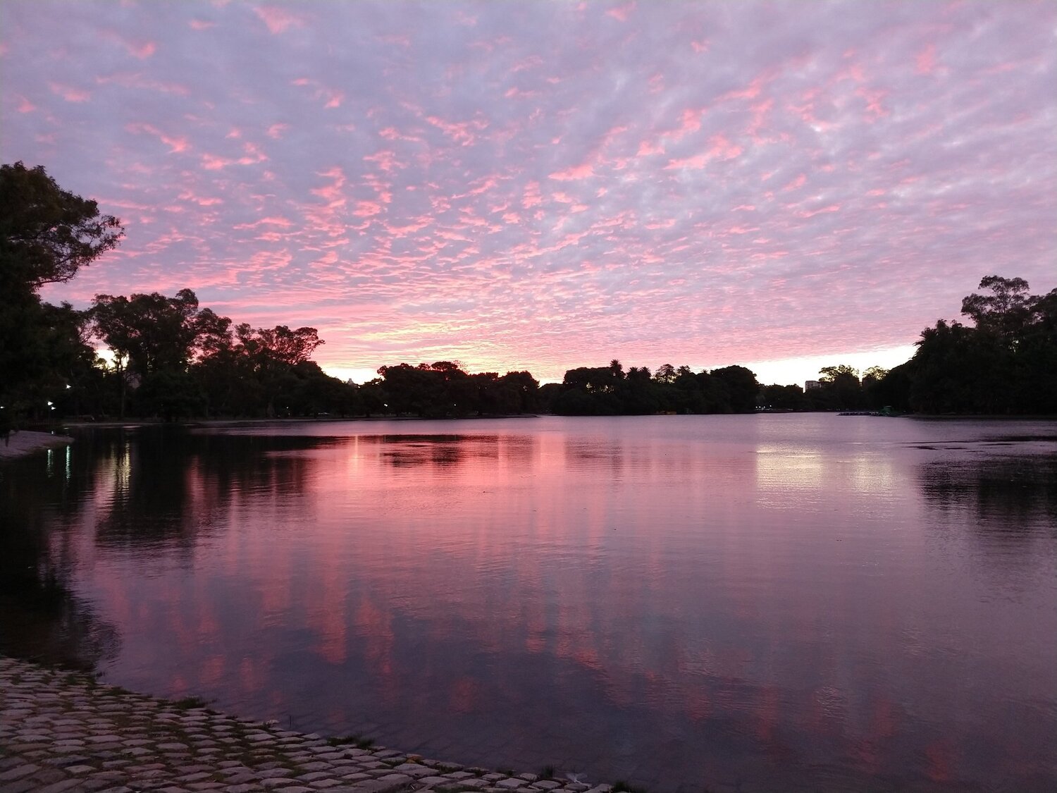 Atardecer Jacarandoso