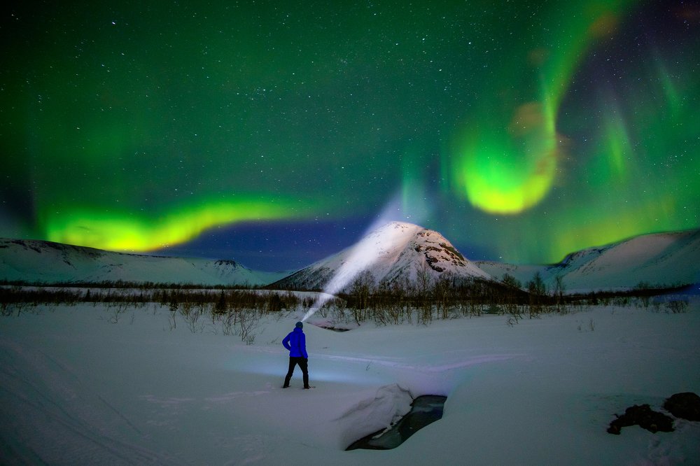 В поисках Йетти