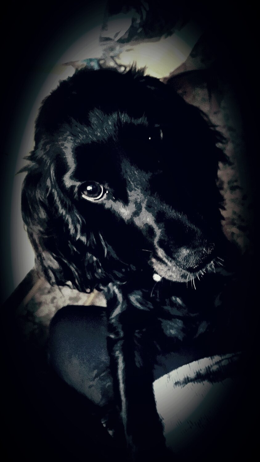 My beauty