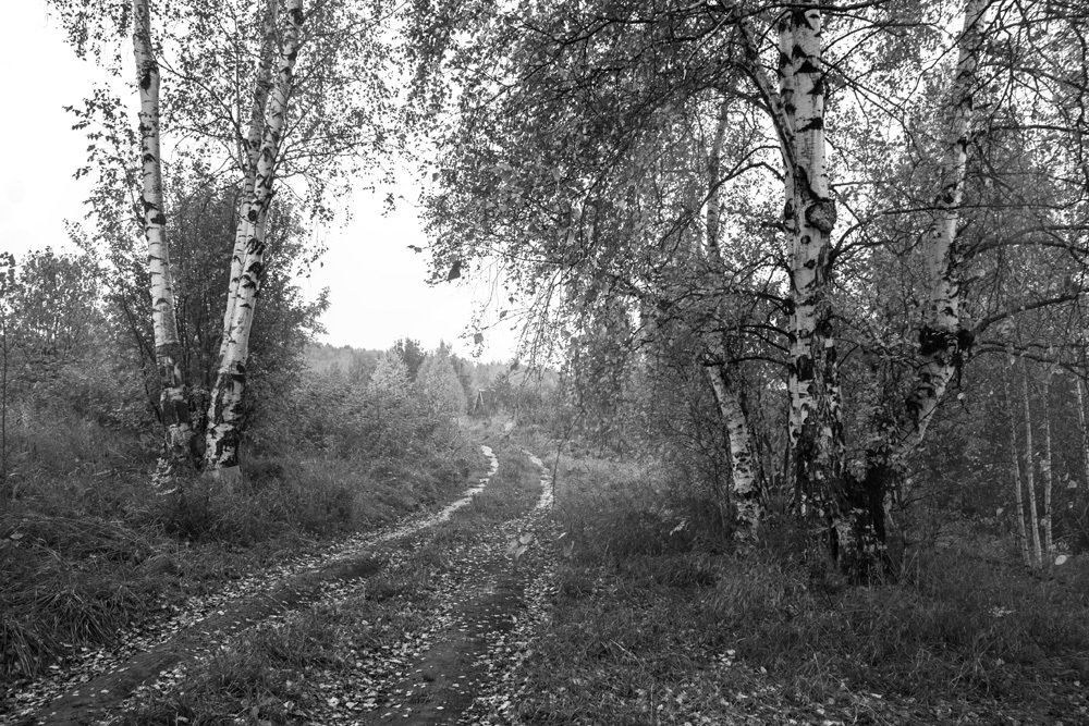 Photograph by Курочкина Диана