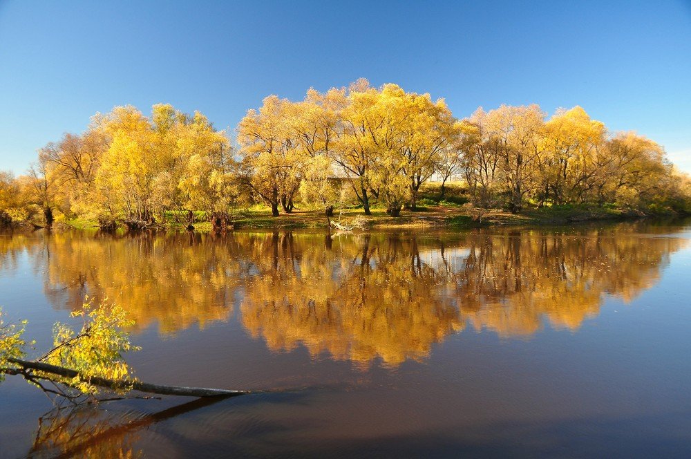 Осеннее утро