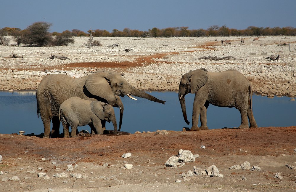 Воспитательный процесс