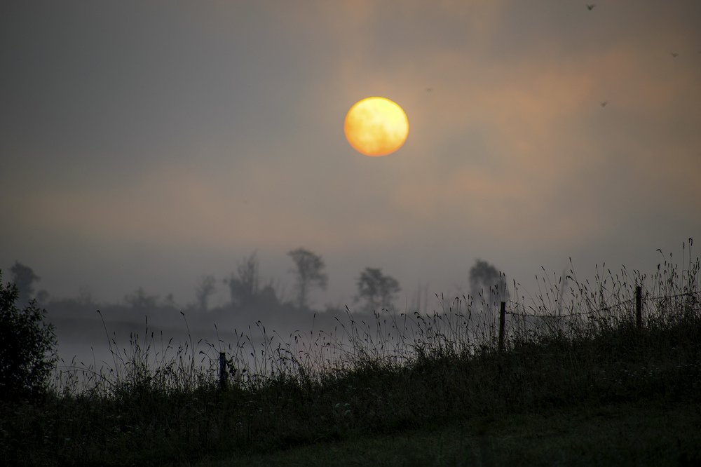 Рассвет в поле