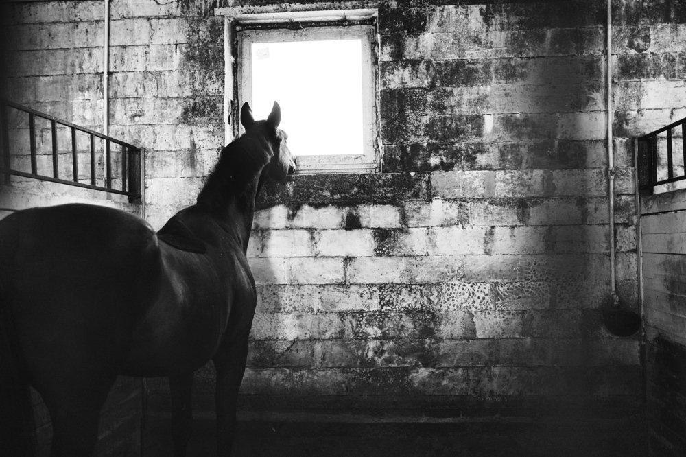 Свобода там