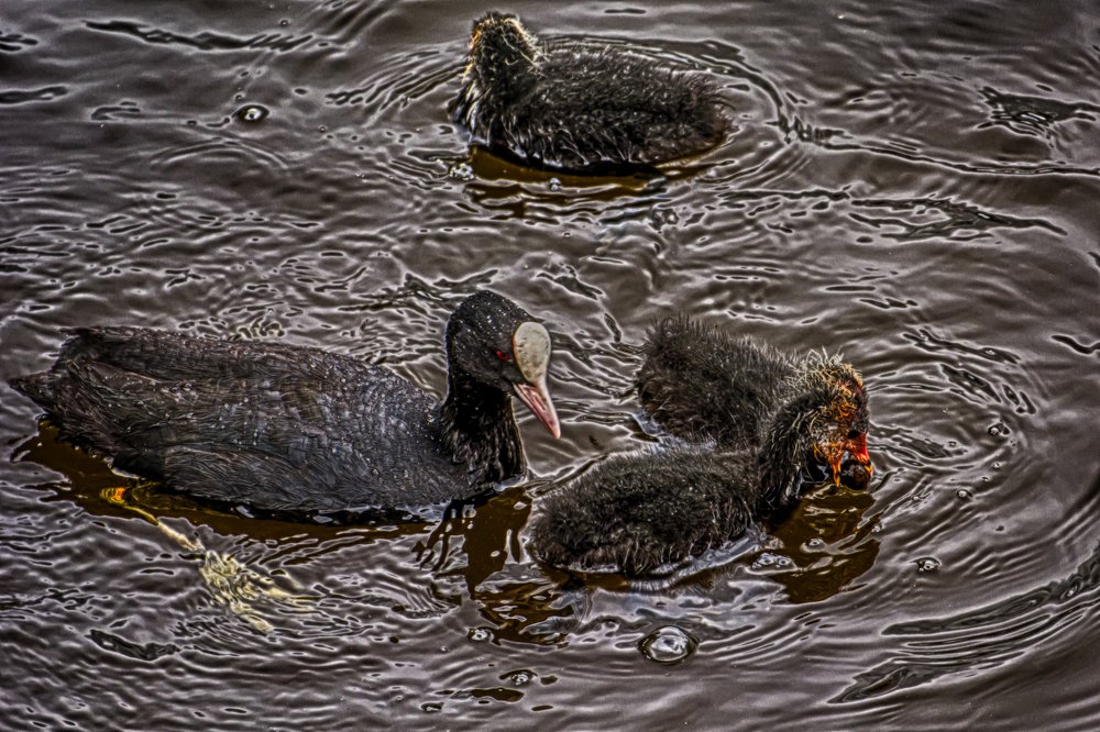 Photograph by Gaļina