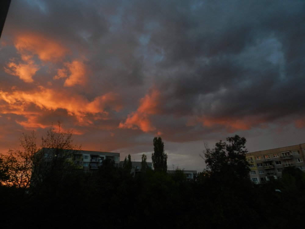 Photograph by mahmoud shihabi moni