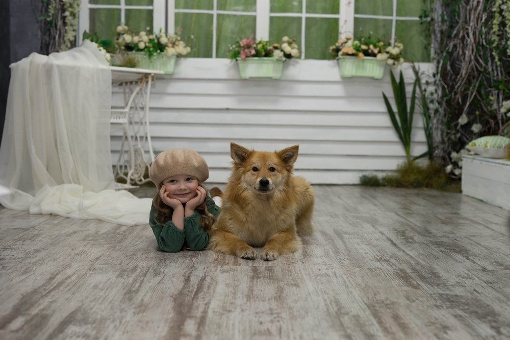 Дети и животные